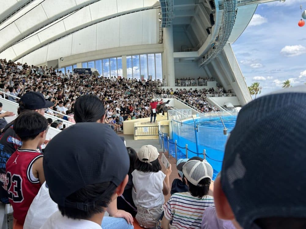 サマースクールの様子 4