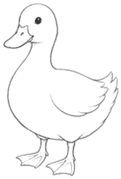 え