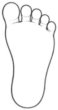 え