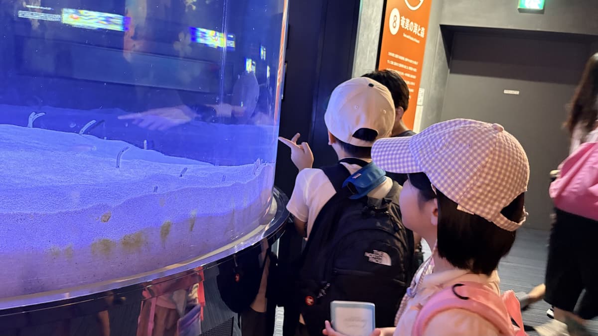 大きな水槽を覗き込むまどいっ子たち
