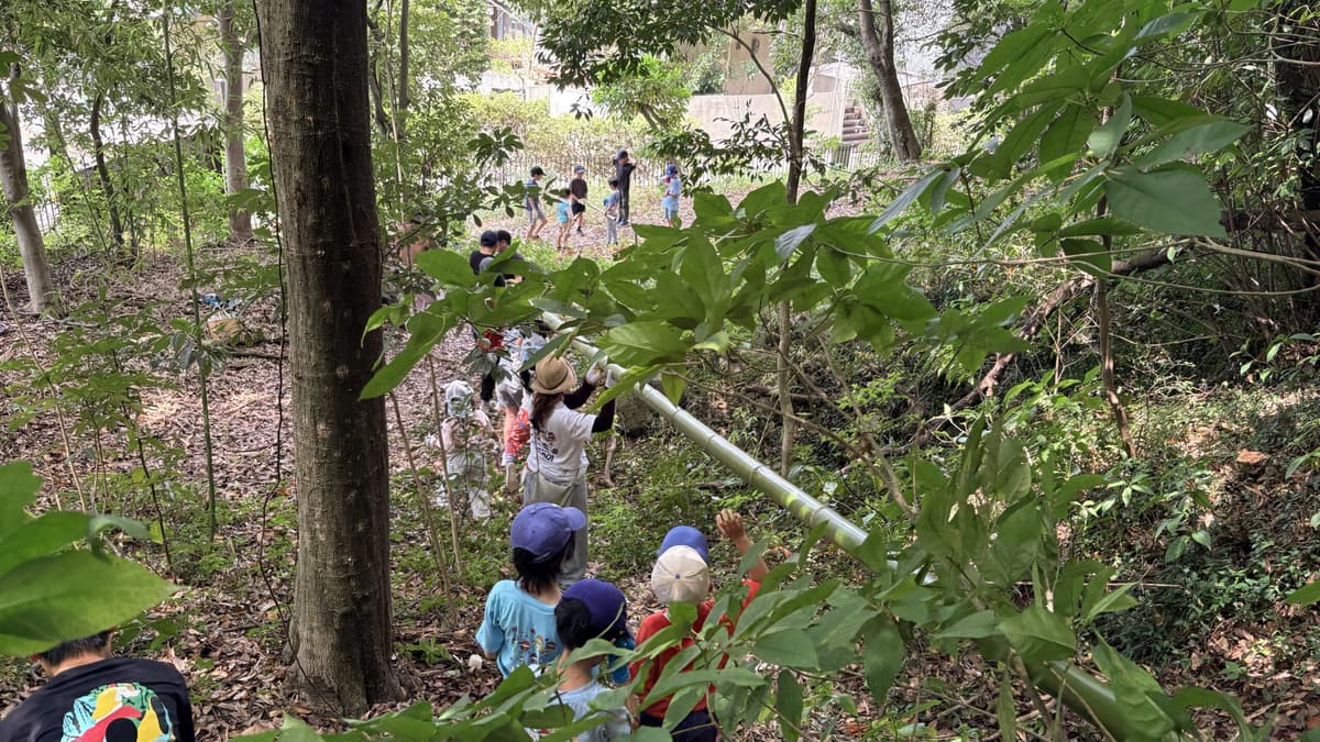 わたなべの森で竹を運ぶまどいっ子たち