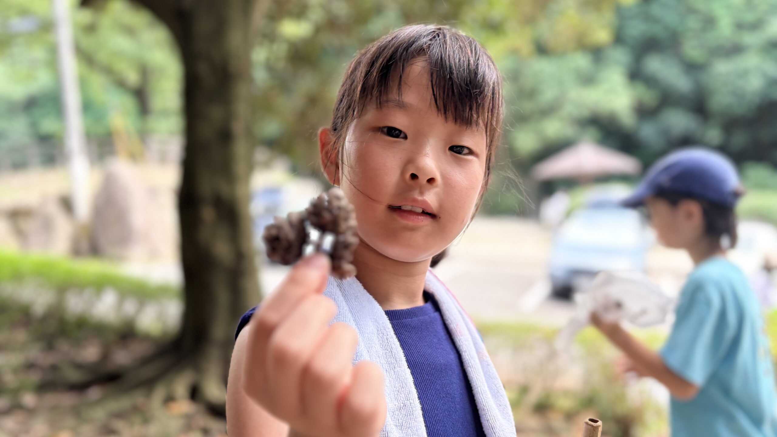 拾ったどんぐりを見せる小学生